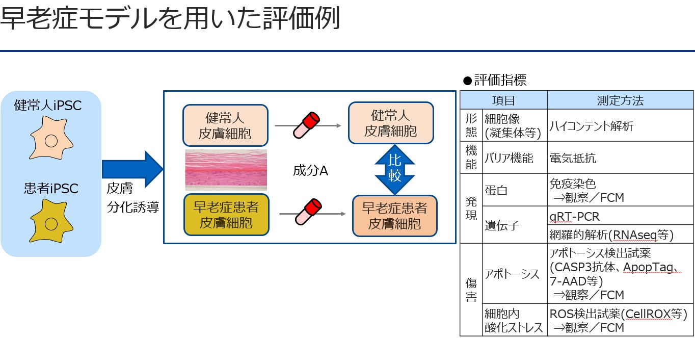 新規サービスのご案内 早老症関連 株式会社iPSポータル